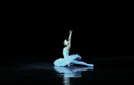 Від класики до модерну: концерт «Зірки українського балету»