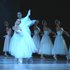 У балеті "Шопеніана" на музику Ф. Шопена (із Сергієм Сидорським).