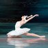 У партії Одетти-Оділії у балеті П. Чайковського "Лебедине озеро".